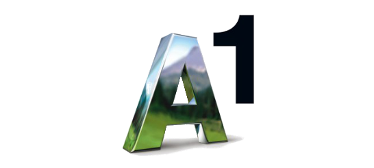 A1